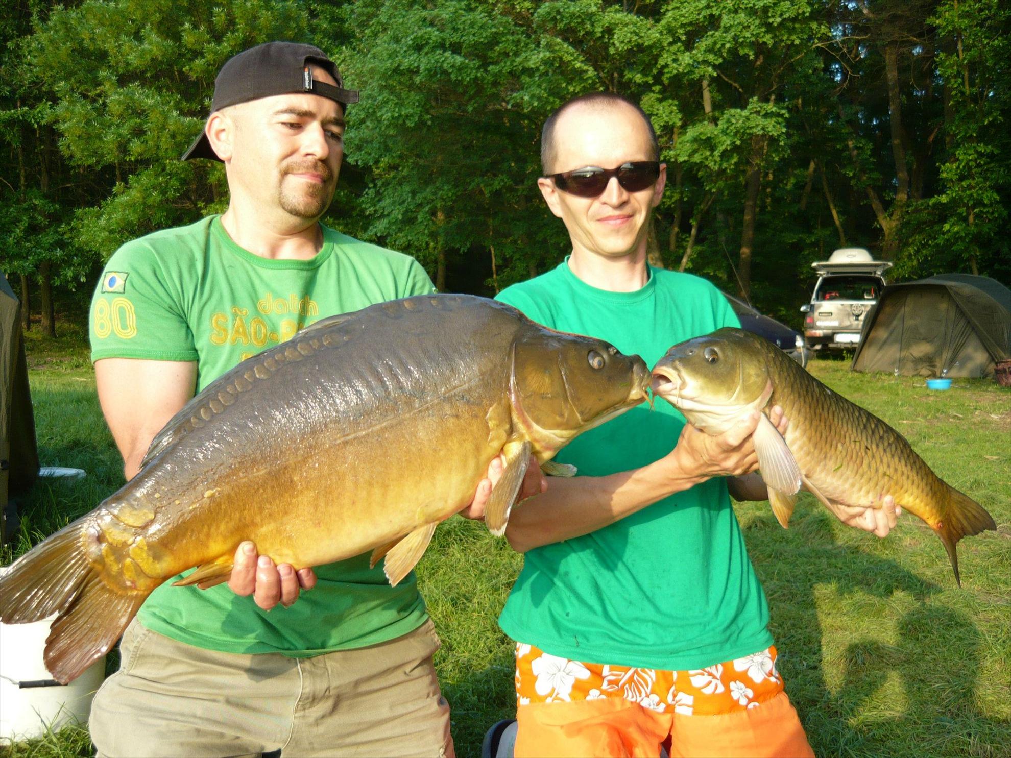 Cetariu Mai 2013 - 9203824613095206194201575256317o.jpg